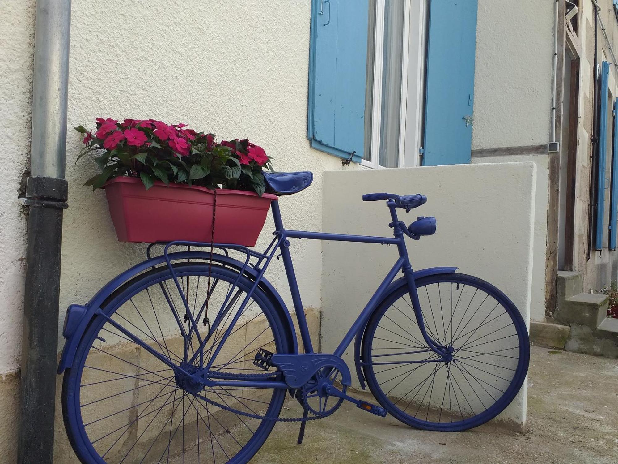 Les Volets Bleus - Deux Appartements Et Un Studio, Jardin Bourges Room photo